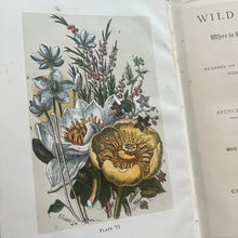 Load image into Gallery viewer, Wild Flowers and Where to Find And How to Know Them by Spencer Thomson
