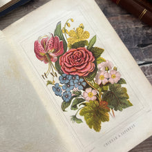Load image into Gallery viewer, Flowers from Many Lands; Christian Companion Victorian Book with Colour Plates

