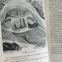 Load image into Gallery viewer, 1885 Strange Dwellings by J.G.Wood; Beautiful Illustrated Victorian Book
