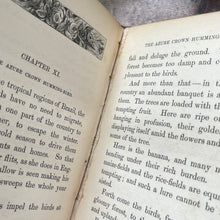 Load image into Gallery viewer, 1874 Hummingbirds by Mary and Elizabeth Kirby; Scarce FIRST Edition Victorian Book

