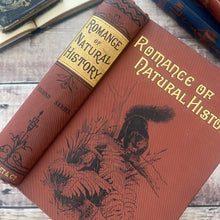 Load image into Gallery viewer, The Romance of Natural History by Philip Henry Gosse; Lovely Antique Book
