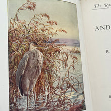 Load image into Gallery viewer, Birds and Their Ways The Rambler Nature Books Beautiful Floral Binding
