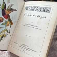Load image into Gallery viewer, 1874 Hummingbirds by Mary and Elizabeth Kirby; Scarce FIRST Edition Victorian Book
