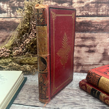 Load image into Gallery viewer, British Ferns and their Allies by Thomas Moore Mid Victorian Book with Colour Plates
