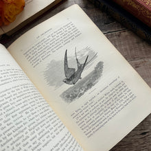 Load image into Gallery viewer, 1875 The Natural History and Antiquities of Selborne by Gilbert White Beautiful Binding
