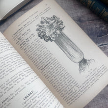 Load image into Gallery viewer, 1900 My Gardener A Practical Handbook for the Million by H W Ward

