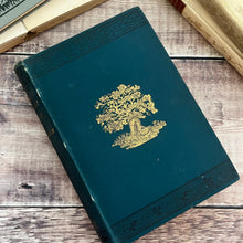 Load image into Gallery viewer, 1899 The Forest Trees of Britain by Rev C.A. Johns; Illustrated Victorian Book

