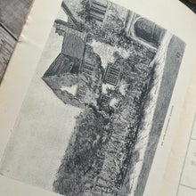 Load image into Gallery viewer, 1901 The Book of Old Fashioned Flowers by Harry Roberts Volume IV
