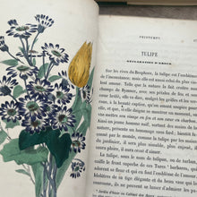 Load image into Gallery viewer, 1858 Le Langage des Fleurs 19th Century Illustrated Book

