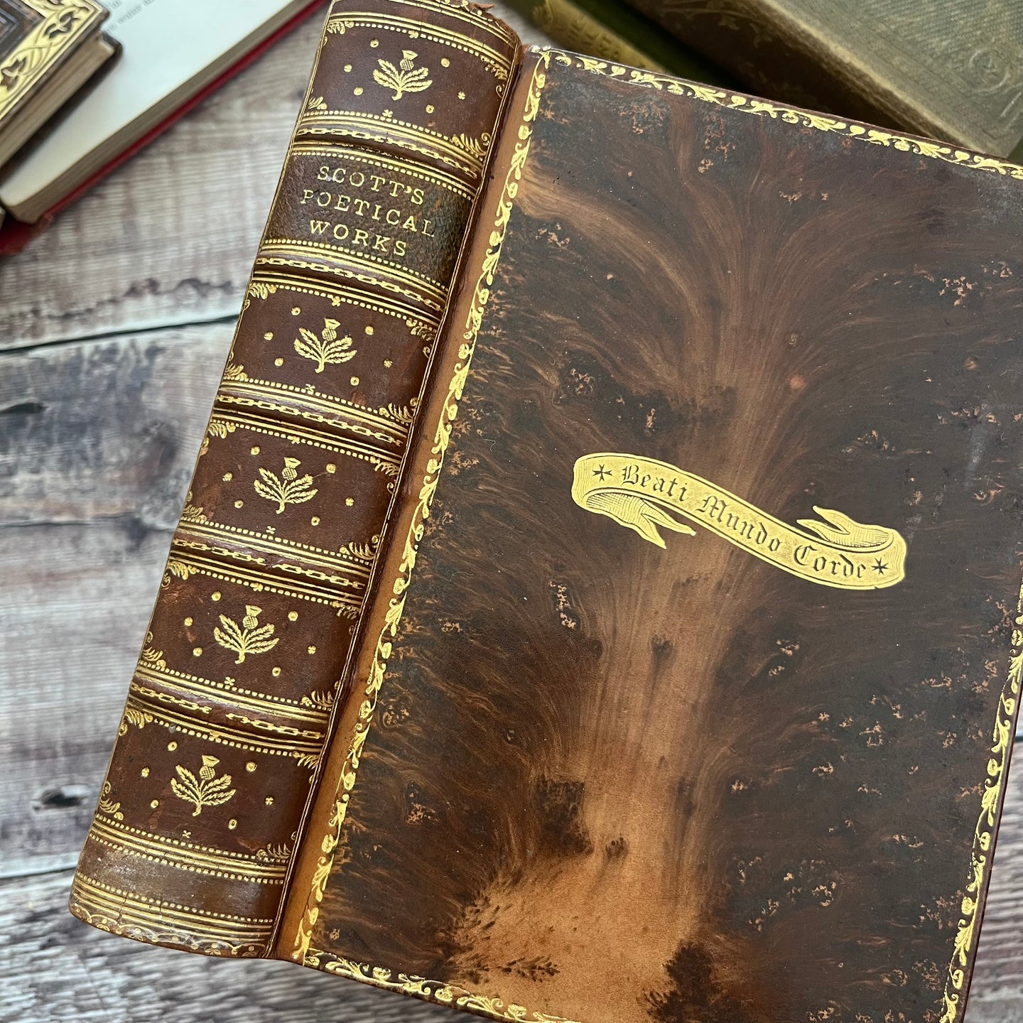 1916 The Poetical Works of Sir Walter Scott Full Tree Calf Leather Book Marbled
