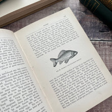 Load image into Gallery viewer, Fresh-water Aquaria Their Construction, Arrangement and Management Antique Book
