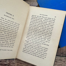 Load image into Gallery viewer, Two Art Nouveau Floral Bindings...Books by Blackie and Son
