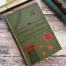 Load image into Gallery viewer, 1891 Glimpses of Nature by Dr Andrew Wilson; Late Victorian Natural History Book
