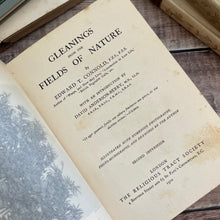 Load image into Gallery viewer, 1910 Gleanings from the Fields of Nature by Edward T Connold; Illustrated Book
