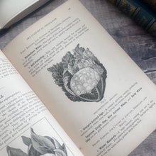 Load image into Gallery viewer, 1900 My Gardener A Practical Handbook for the Million by H W Ward

