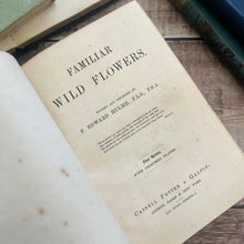 Load image into Gallery viewer, Familiar Wild Flowers First Series by Edward Hulme Beautiful Antique Book
