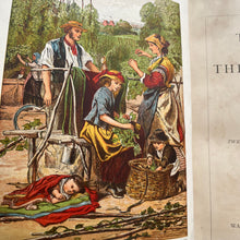 Load image into Gallery viewer, The Fields and The Woodlands Depicted by Painter and Poet; Victorian Book
