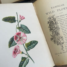 Load image into Gallery viewer, Familiar Wild Flowers First Series by Edward Hulme Beautiful Antique Book
