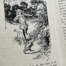 Load image into Gallery viewer, Alice in Wonderland by Lewis Carroll Rare Binding The Ruby Series Antique Book (Et)
