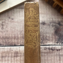 Load image into Gallery viewer, 1858 The Ladies Companion to the Flower Garden by Mrs Loudon; Hand Coloured Frontispiece
