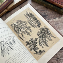 Load image into Gallery viewer, 1877 Drawings from Nature by Barnard Progressive Instructions in Sketching Victorian Book

