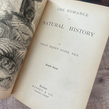 Load image into Gallery viewer, The Romance of Natural History by Philip Henry Gosse; Lovely Antique Book
