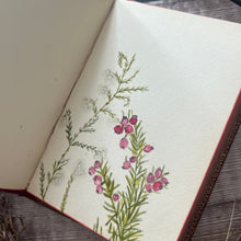 Load image into Gallery viewer, Edwardian Full Leather Book; with Original Verse, Watercolours and Drawings
