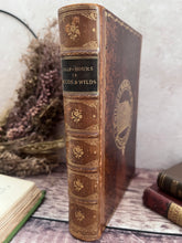 Load image into Gallery viewer, Half Hours In Woods and Wilds Adventures of Sport and Travel; Tree Calf Leather
