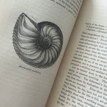 Load image into Gallery viewer, 1868 The Seaside Naturalist by Rev Robert Fraser; Mid Victorian Illustrated Natural History Book

