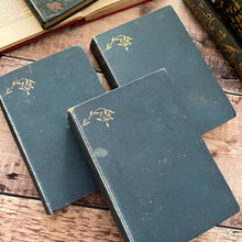 Load image into Gallery viewer, Collection of Mrs Elizabeth Gaskell Novels and Short Stories
