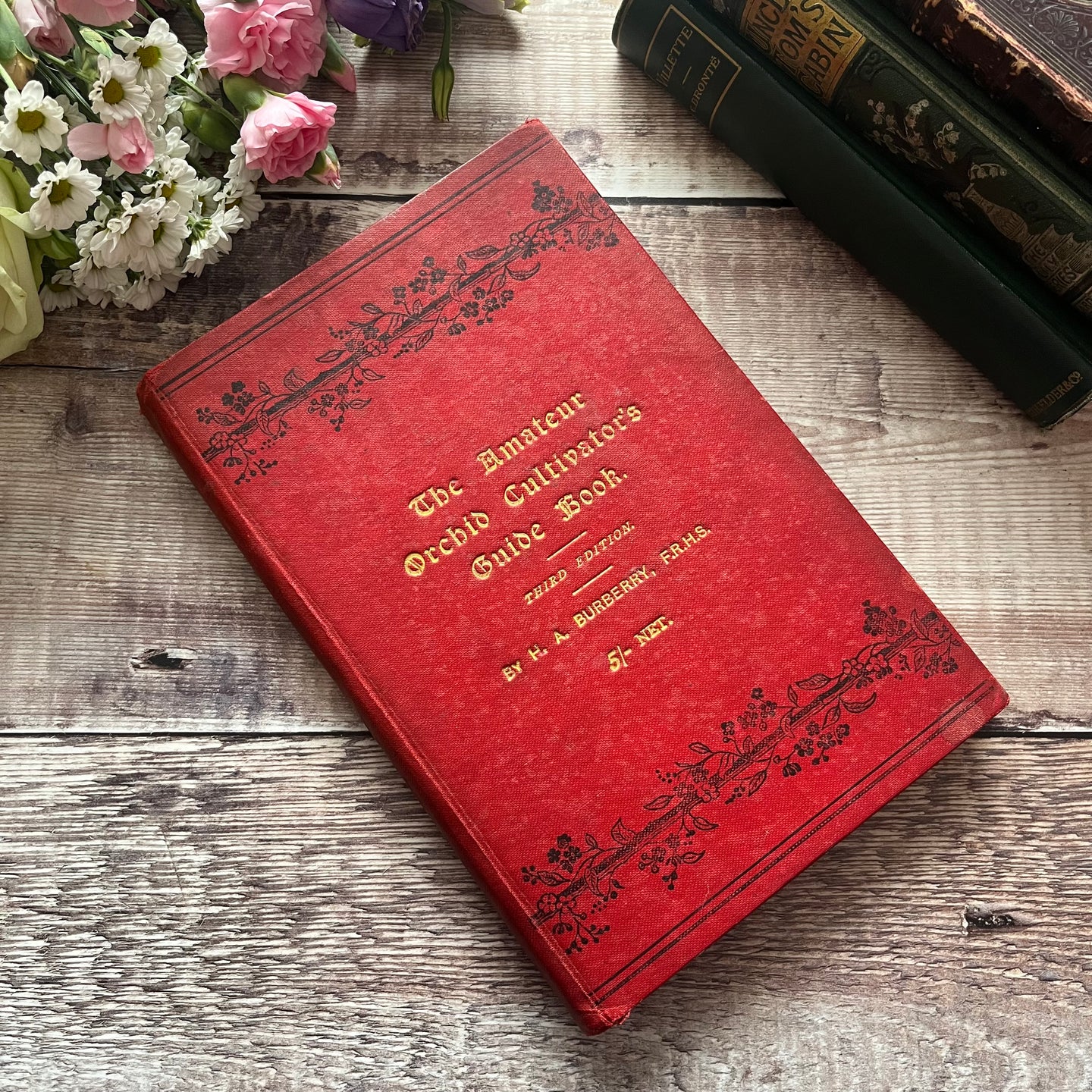 1900 The Amateur Orchid Cultivator's Guide Book Third Edition Illustrated Colour Plates