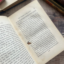 Load image into Gallery viewer, 1858 Glaucus or Wonders of the Shore By Charles Kingsley; Victorian Illustrated Book

