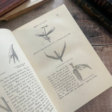 Load image into Gallery viewer, Wild Flowers and Where to Find And How to Know Them by Spencer Thomson
