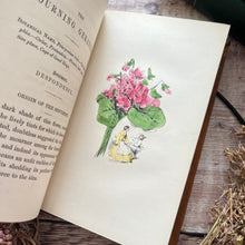 Load image into Gallery viewer, Rare Flowers Their Use and Beauty Language and Sentiment Victorian Illustrated Book
