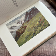 Load image into Gallery viewer, 1910 Alpine Flowers and Gardens Painted and Described Antique Book
