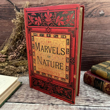 Load image into Gallery viewer, The Marvels of Nature in Earth, Sea and Sky Late Victorian Book WORN
