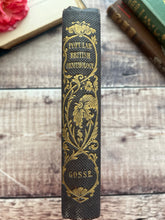 Load image into Gallery viewer, 1853 Popular British Ornithology by P.H.Gosse; Second Edition with Hand Coloured Plates
