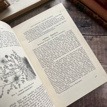 Load image into Gallery viewer, Hardy Perennials and Old Fashioned Garden Flowers Late Victorian Antique Book
