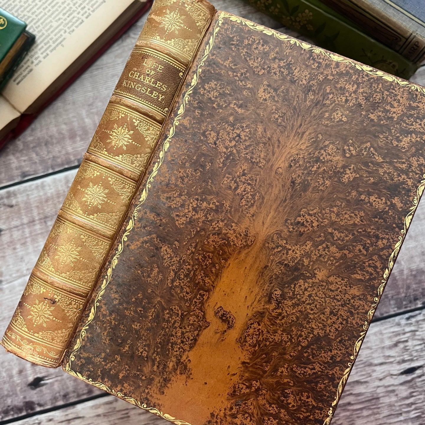 1899 The Life of Charles Kingsley Full Tree Calf Leather Binding