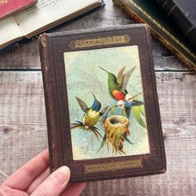 Load image into Gallery viewer, 1874 Hummingbirds by Mary and Elizabeth Kirby; Scarce FIRST Edition Victorian Book
