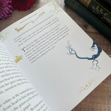 Load image into Gallery viewer, Classic Ghost Stories Modern Softcover Book with Colour Illustrations
