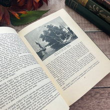 Load image into Gallery viewer, 1946 Nature in Britain With Dust Jacket Hardback Vintage Book Illustrated
