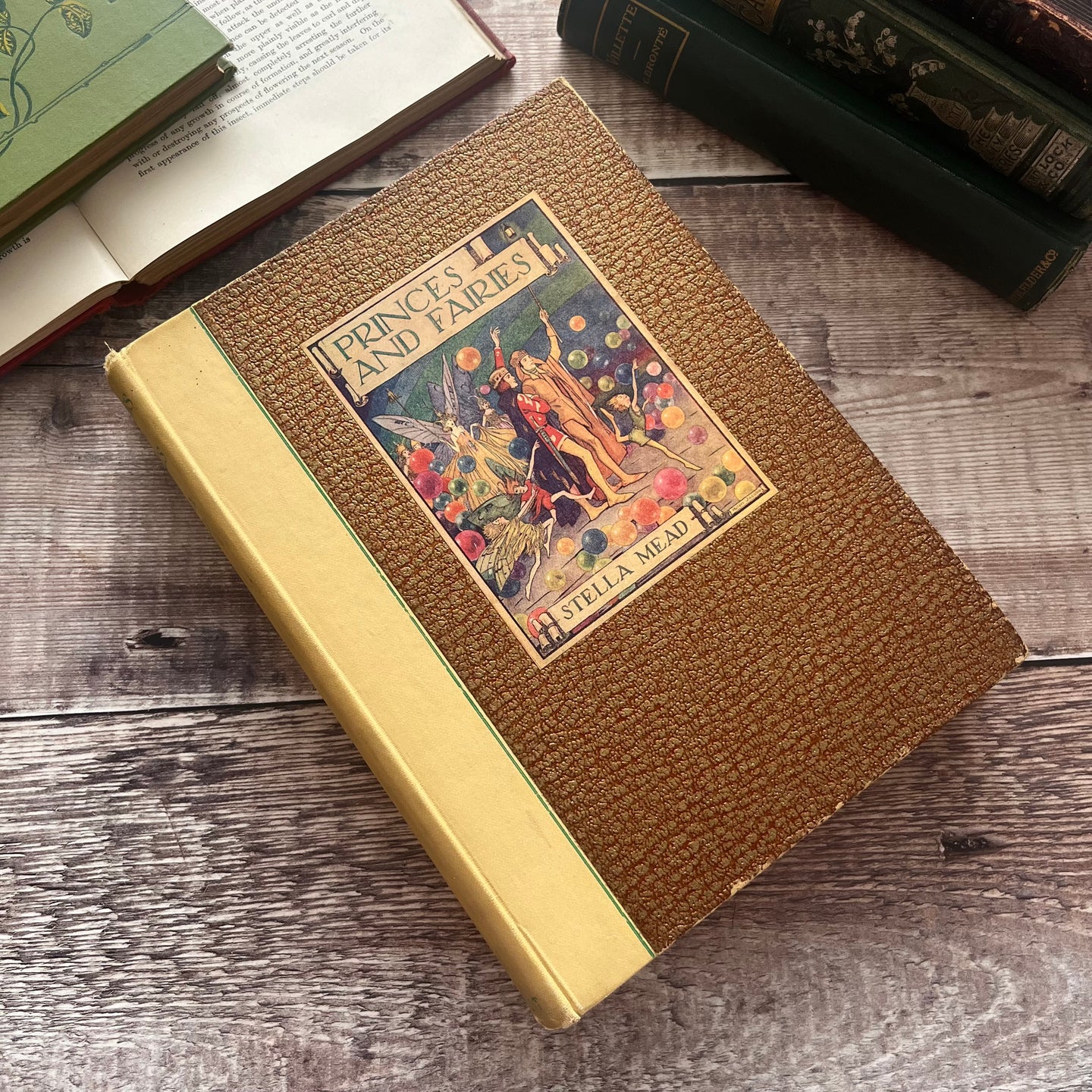 First Edition RARE Princes and Fairies by Stella Mead Vintage Illustrated Fairy Book
