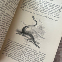 Load image into Gallery viewer, The Wonders of the World in Earth, Sea and Sky by Uncle John; Victorian Illustrated Book
