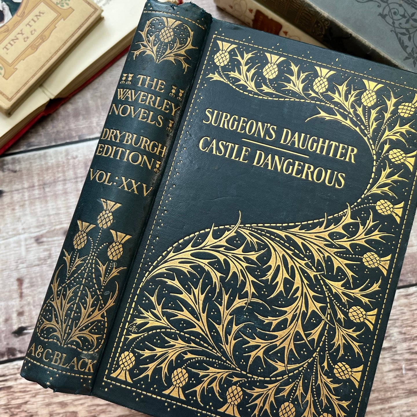 1894 The Surgeon's Daughter and Castle Dangerous by Sir Walter Scott Beautiful Binding