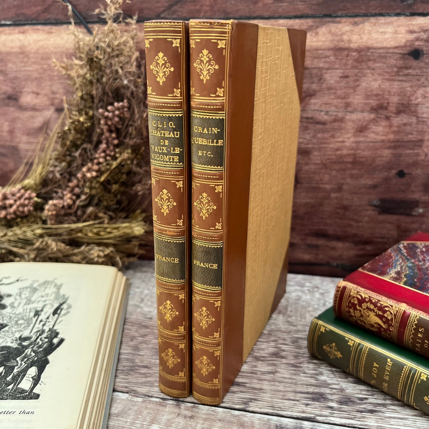 Collection of 2 Half Leather 1920's Anatole French Antique Books Marbled Edges
