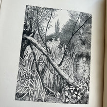Load image into Gallery viewer, 1880 Parables from Nature by Margaret Gatty Illustrated Victorian Book
