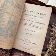 Load image into Gallery viewer, Rare First Edition 1861 Indoor Plants and How to Grow Them Beautiful Victorian Book
