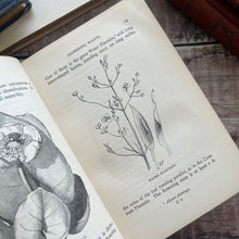 Load image into Gallery viewer, 1880 Ponds and Ditches; Natural History Rambles Illustrated Victorian Book

