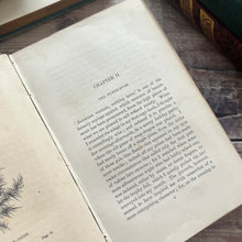 Load image into Gallery viewer, 1848 Chapters on Flowers by Charlotte Elizabeth Early Victorian Full Morocco Binding

